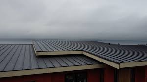 Best Rubber Roofing (EPDM, TPO)  in Vernon, WI